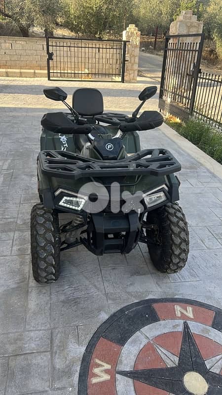atv tao motor xgt super high quality  250 cc 1