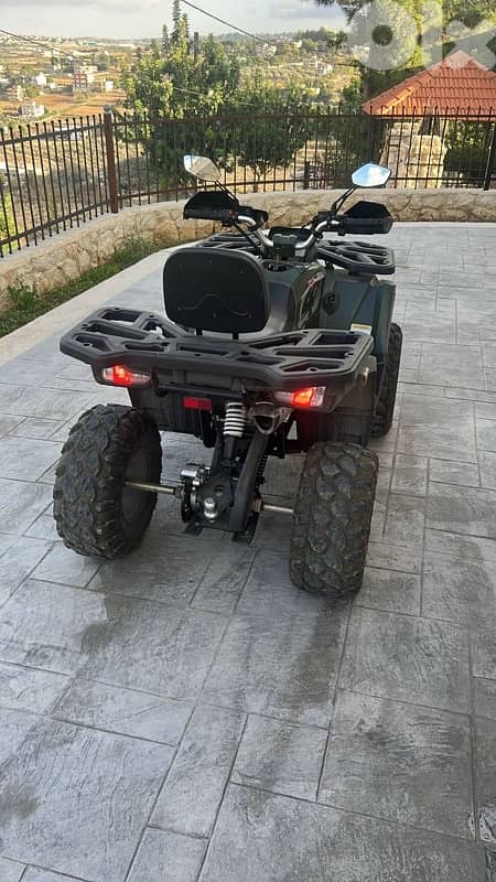 atv tao motor xgt super high quality  250 cc 3
