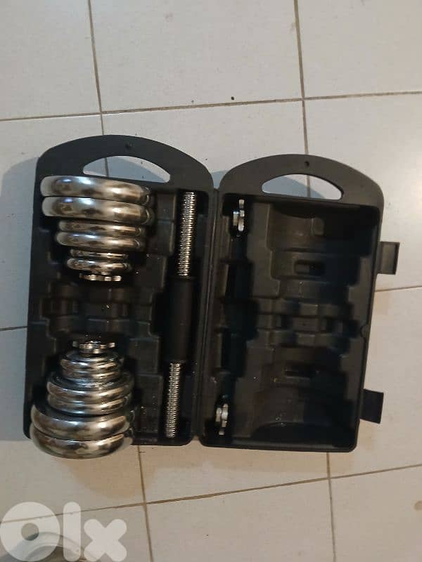dumbells 1