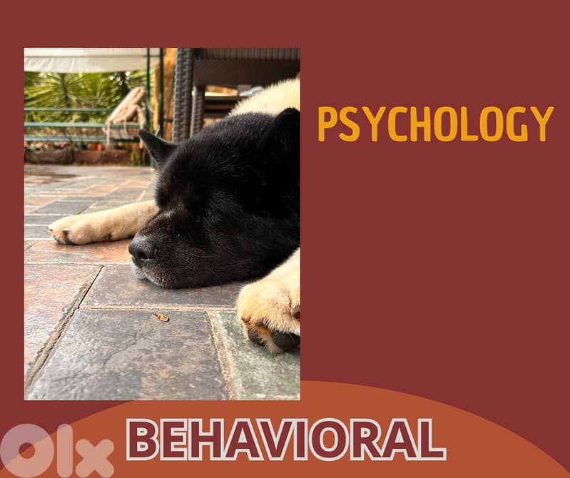 Elite Dog Training – Proven Methods, Real Results  (all breeds) 6