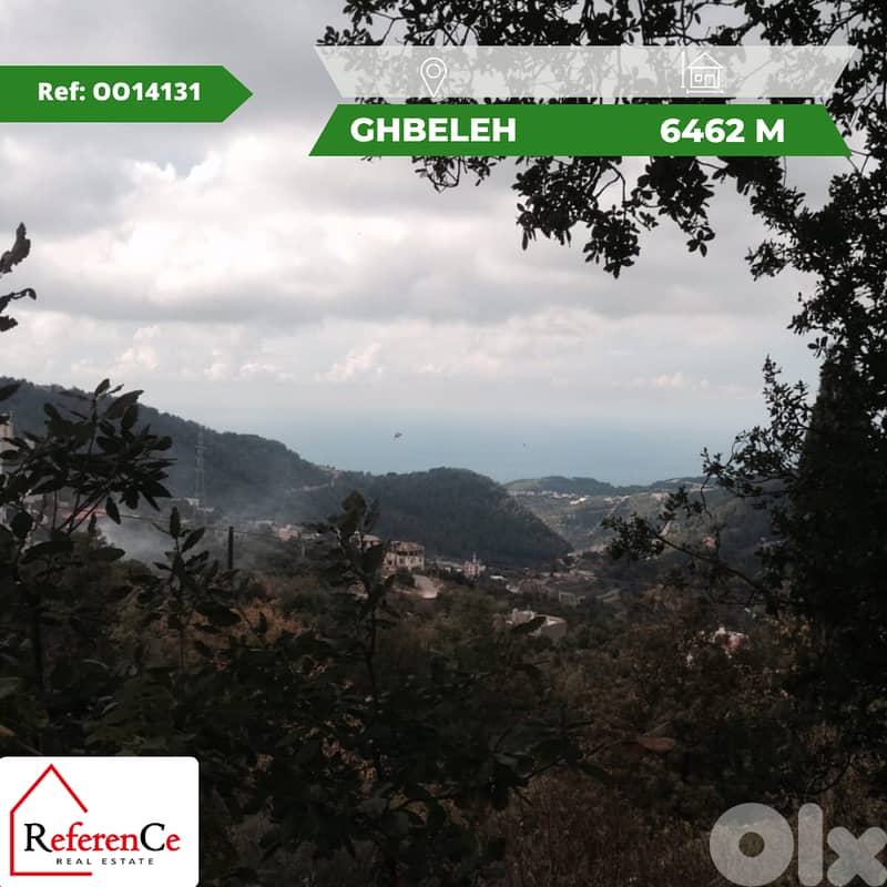 Land in Ghbeleh for sale أرض للبيع في غبالة 0