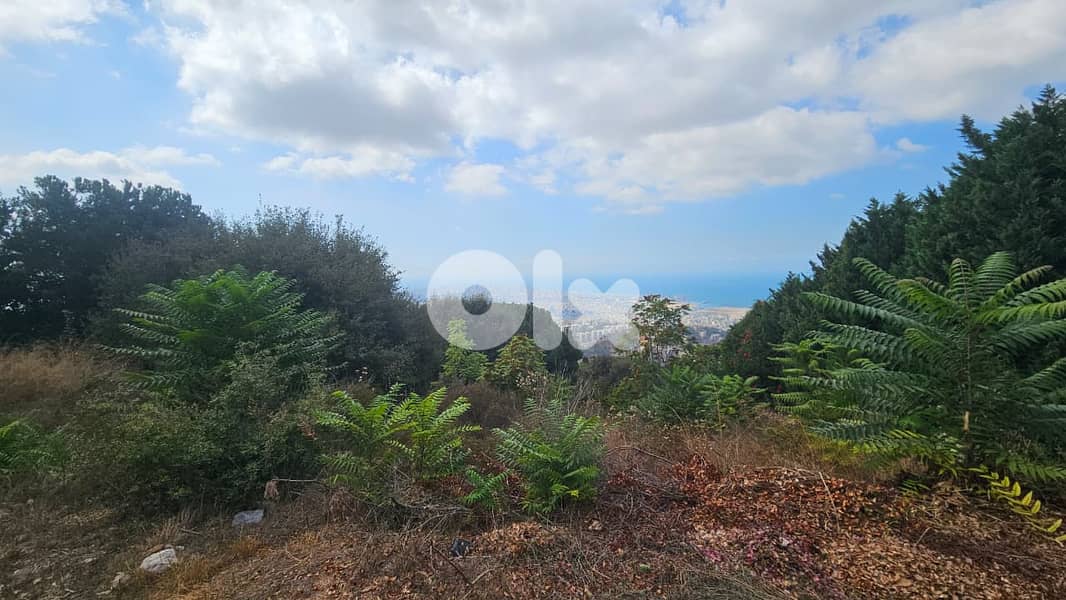 Land for sale in Ain saade| Prime أرض للبيع في عين سعادة | مميزة 3