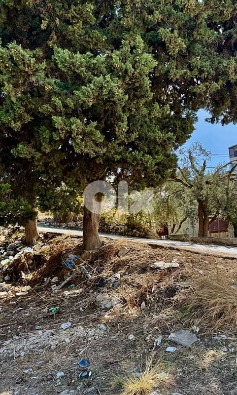 Land For Sale In Mastita-Jbeil أرض للبيع في مستيتا جبيل 1