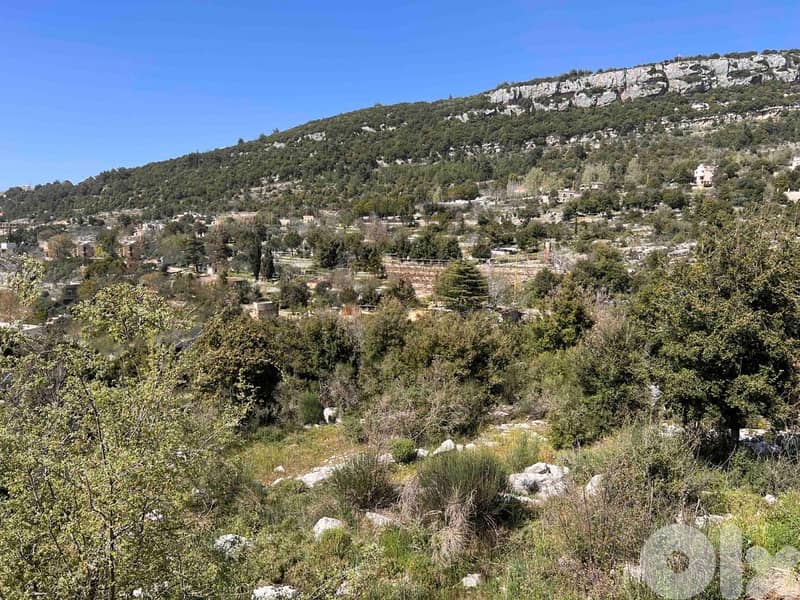 Land for sale in Lehfed, أرض للبيع في لحفد- جبيل 1
