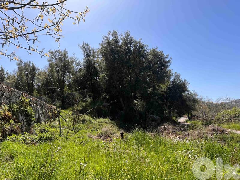 Land for sale in Lehfed, أرض للبيع في لحفد- جبيل 3
