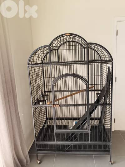parrot cage