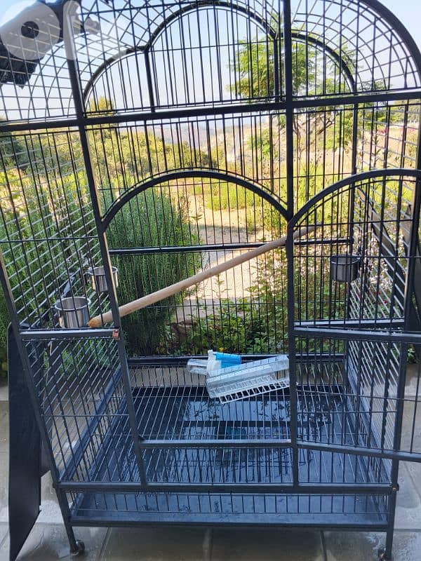 parrot cage 1