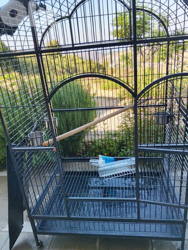 parrot cage 2