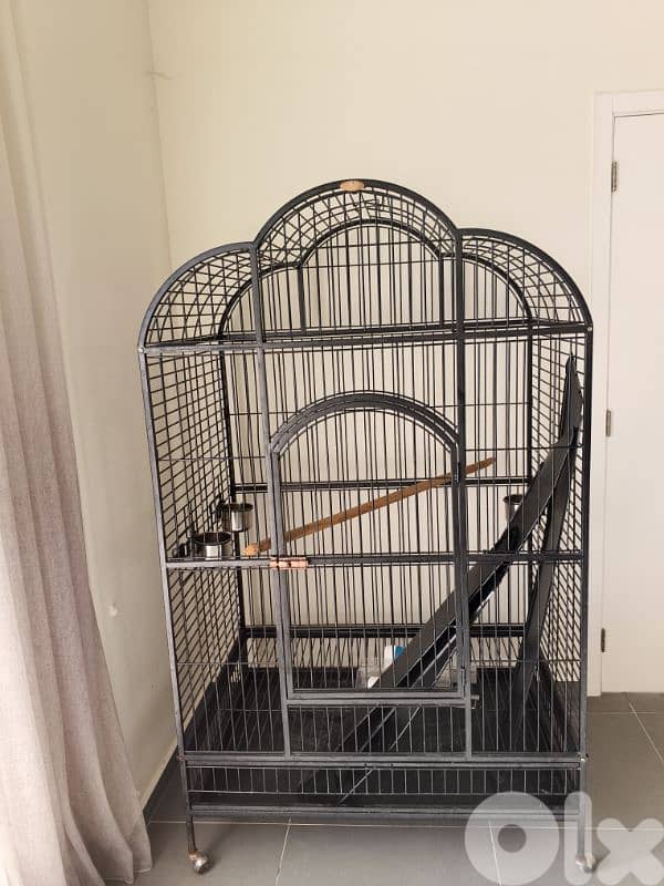 parrot cage 3