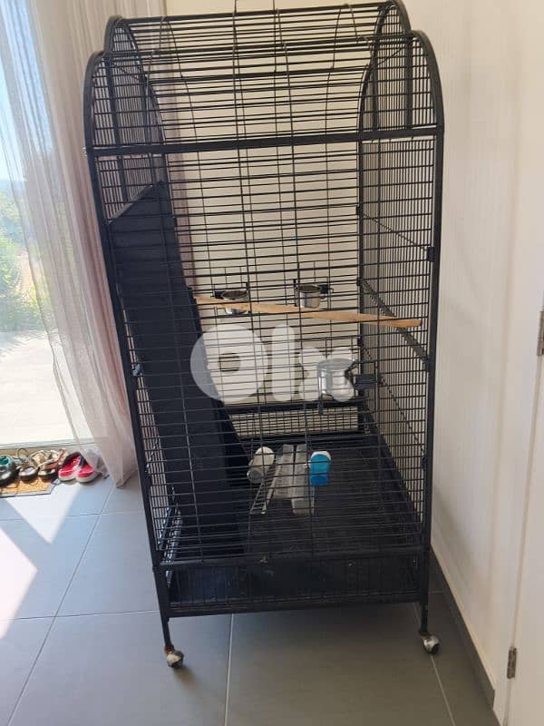 parrot cage 4