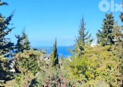 Land for sale in Biyada/ Seaview/ Residential & Commercial