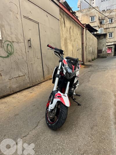 benelli tnt