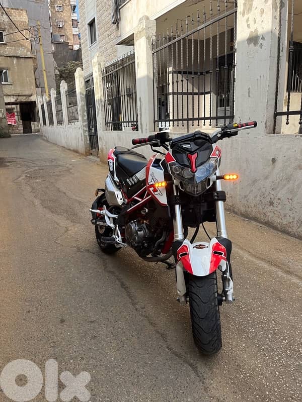 benelli tnt 1
