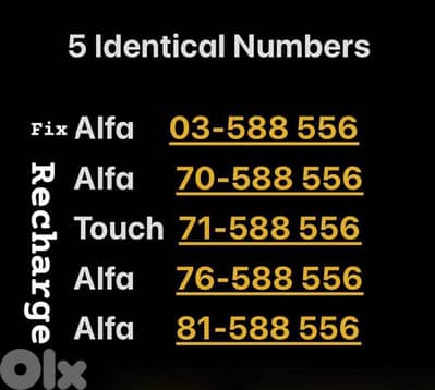 5 Identical numbers for sale