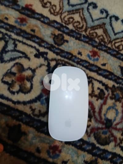 mouse
