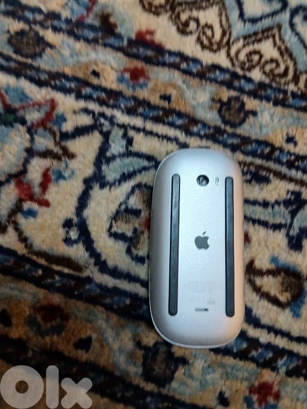 mouse apple 1