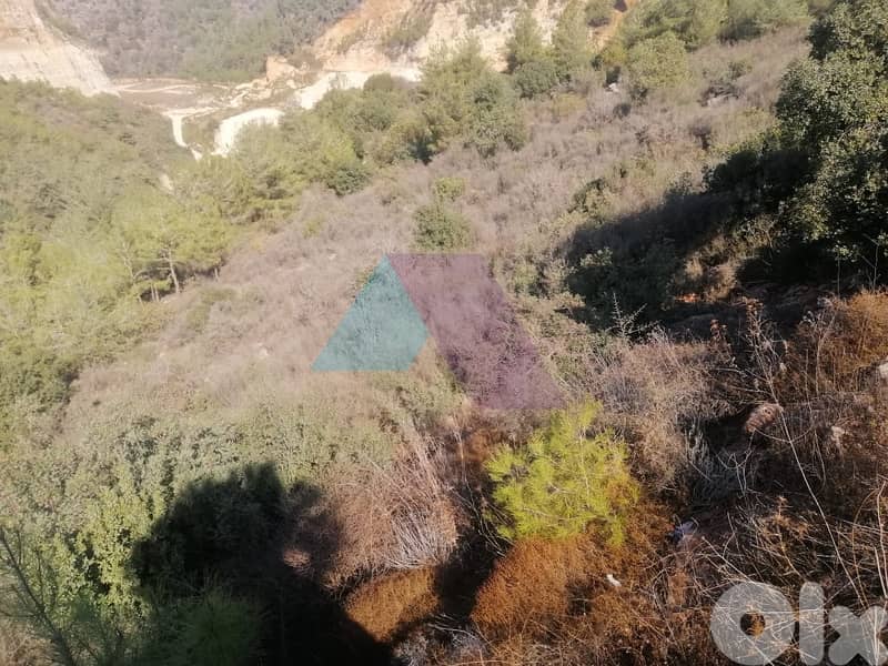 200,000m2 Land+mountain view 4sale in Debbieh - أرض للبيع في الدبية 1