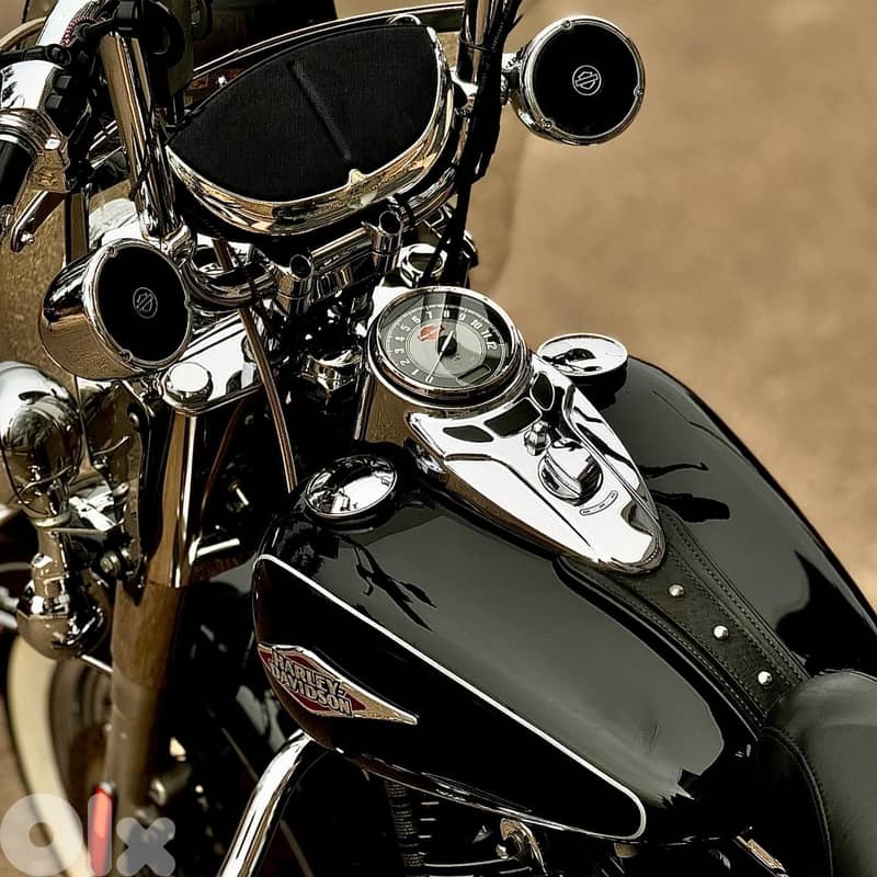 Harley-Davidson 2016 Heritage Softail 103 2