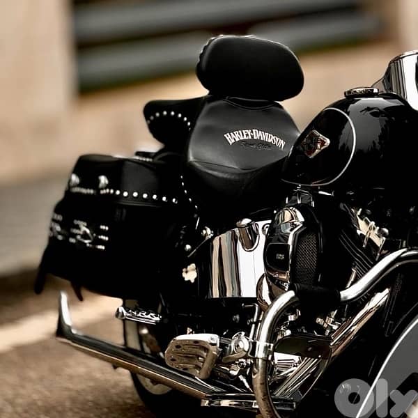 Harley-Davidson 2016 Heritage Softail 103 3