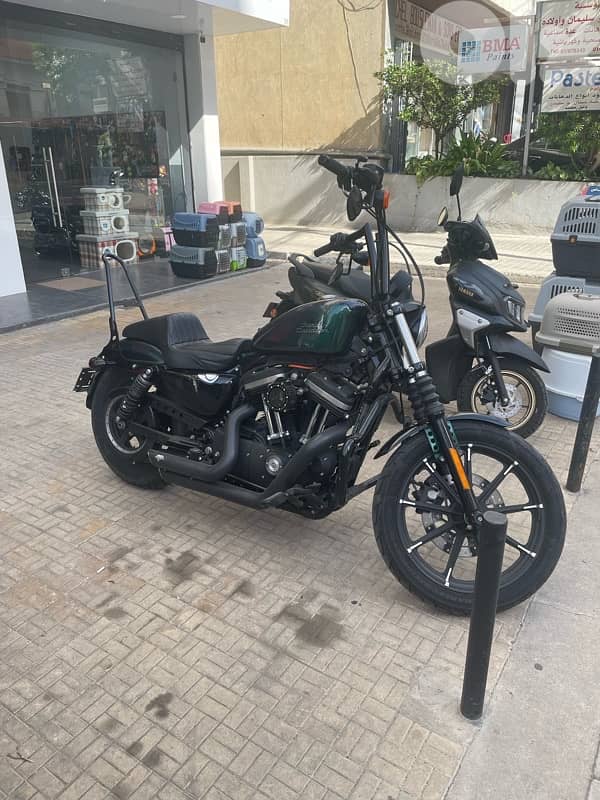 Harley-Davidson 2021 Sportster 883 2
