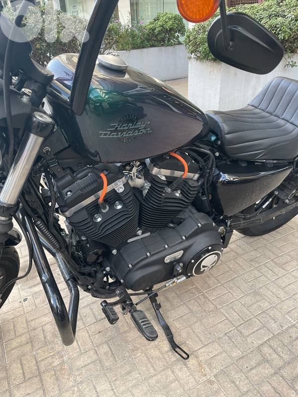 Harley-Davidson 2021 Sportster 883 5
