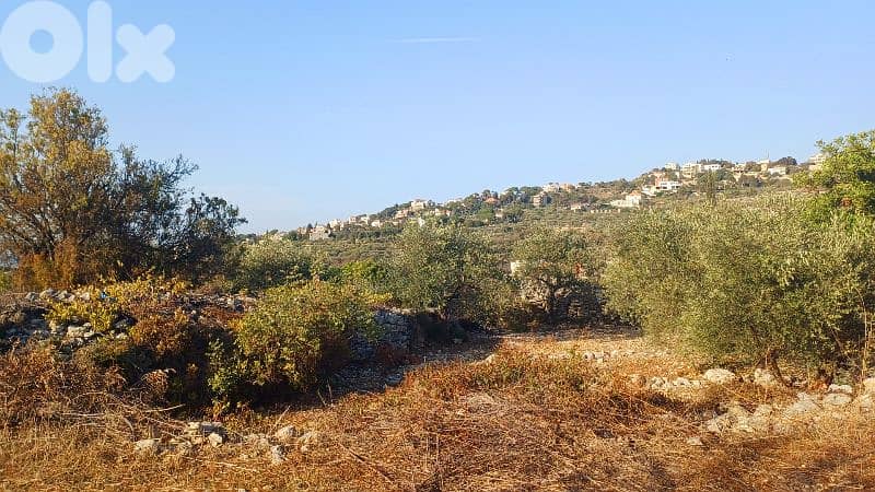 lands for sale in Chikhane أرض للبيع في شيخان 1