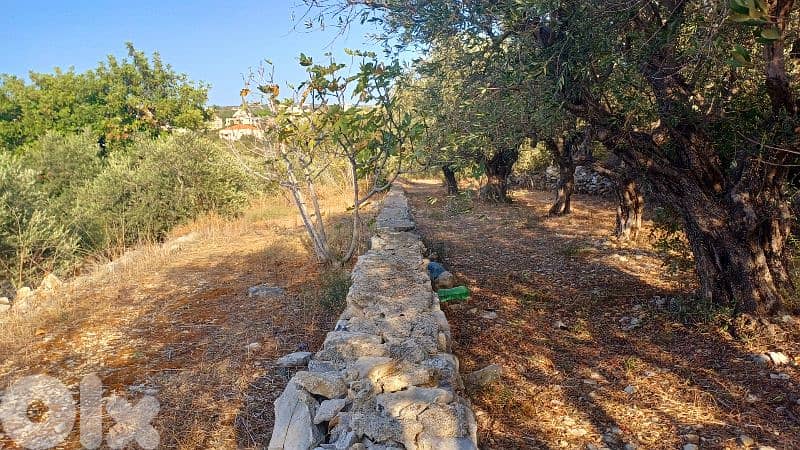 lands for sale in Chikhane أرض للبيع في شيخان 2