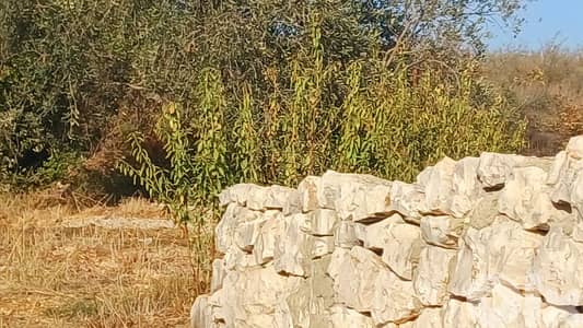 lands for sale in Chikhane أرض للبيع في شيخان