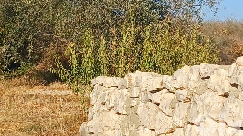 lands for sale in Chikhane أرض للبيع في شيخان 0