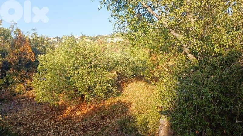 lands for sale in Chikhane أرض للبيع في شيخان 2