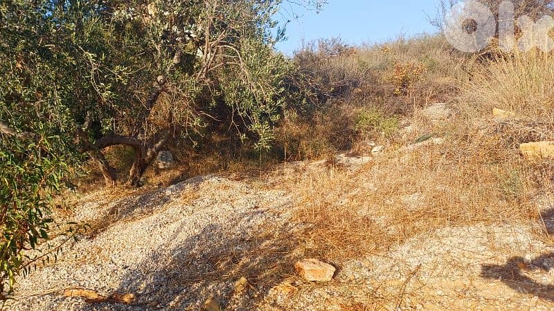 lands for sale in Chikhane أرض للبيع في شيخان 3