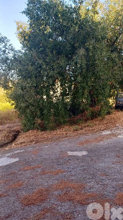 lands for sale in Chikhane أرض للبيع في شيخان