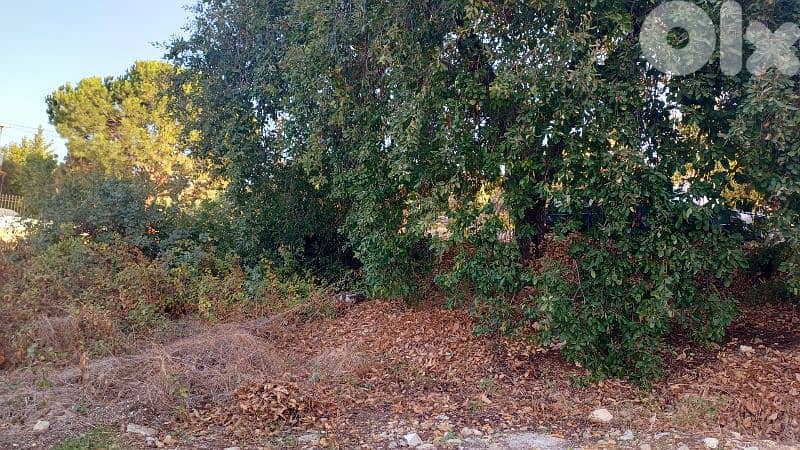 lands for sale in Chikhane أرض للبيع في شيخان 4