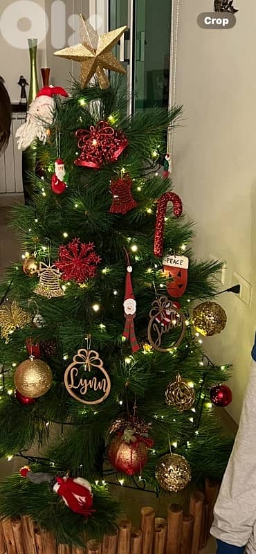 Christmas tree 0