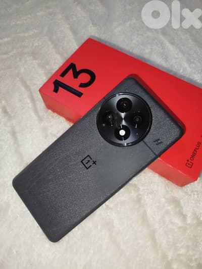 oneplus 13