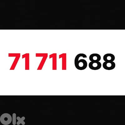 71 711 688