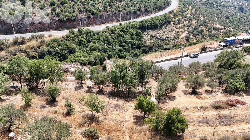 lands for sale in Autostrade Batroun-tannourine أرض للبيع في عورا 3