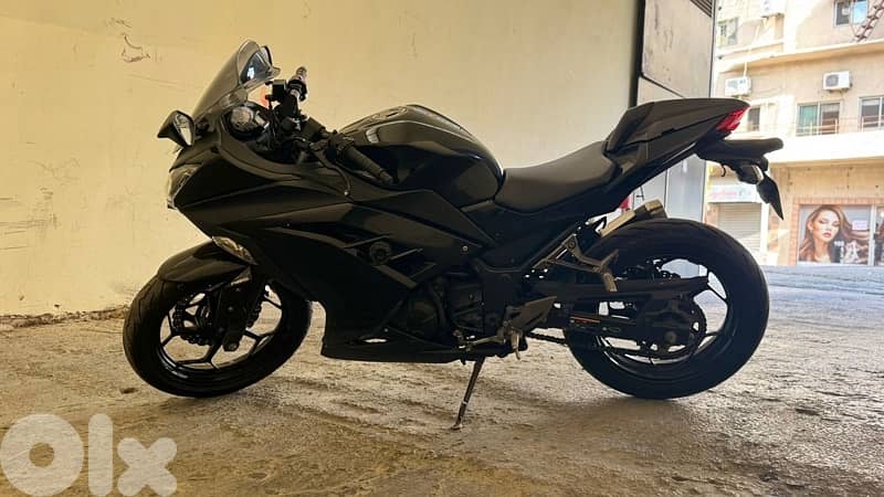 Kawasaki Ninja 300 2