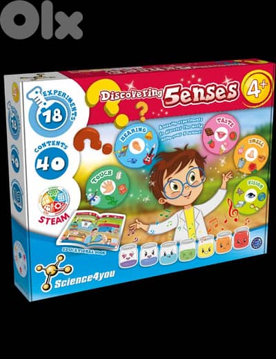 discovering 5 senses science4you