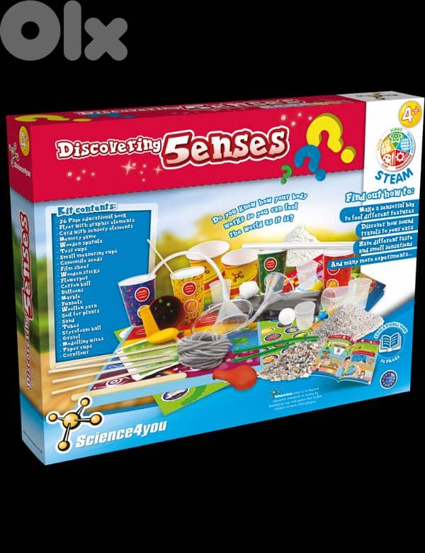 discovering 5 senses science4you 2