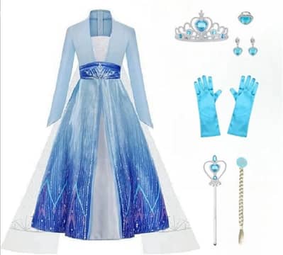 Elsa costume plus accessories