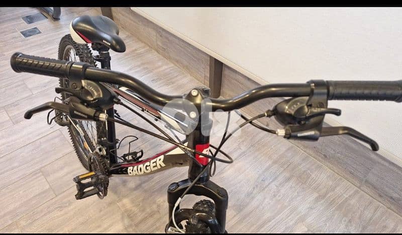bicycle Badger 26 inches 1