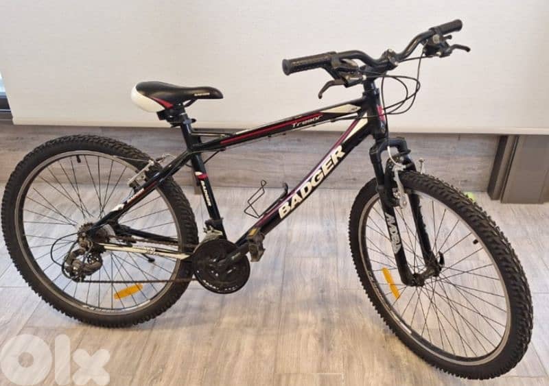 bicycle Badger 26 inches 2