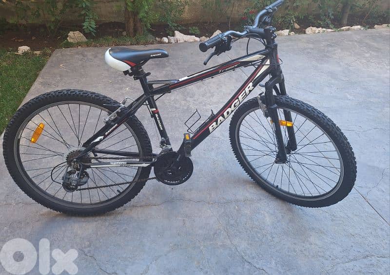 bicycle Badger 26 inches 5