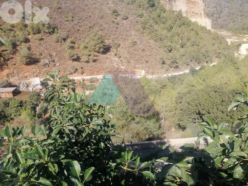 Prime Land+mountain view 4sale in Baasir/Chouf -أرض للبيع في بعاصير 8