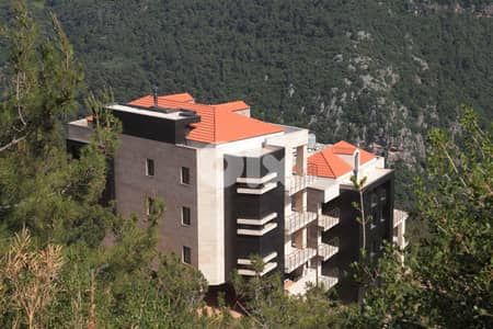 Penthouse with Terrace, Monterverde شقة بانتهاوس مع شرفة في مونتيفردي