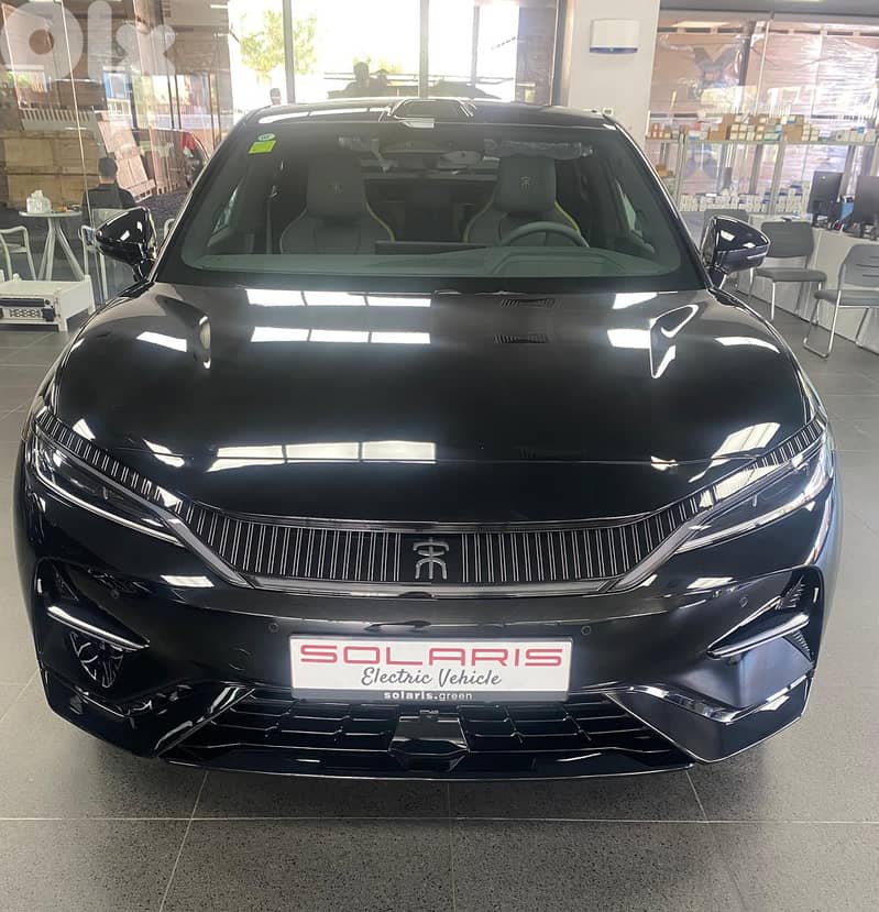BYD Song L 2025 0