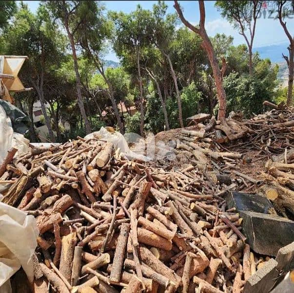 حطب للبيع wood for chimney 0