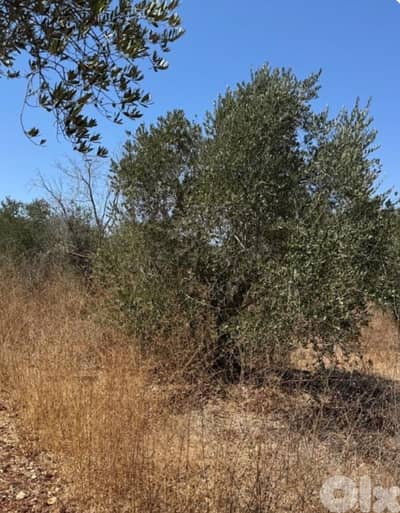 3 Lands for Sale in Amioun