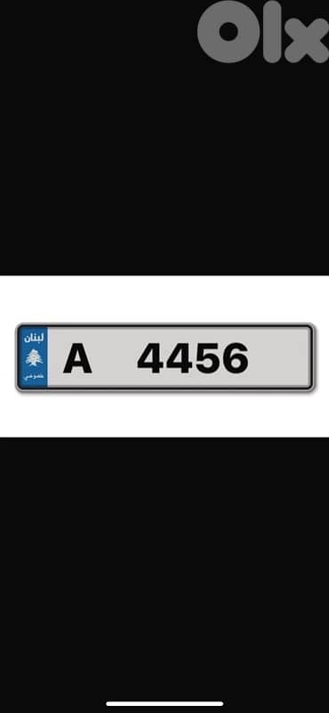 Rare Plate A 4456 0